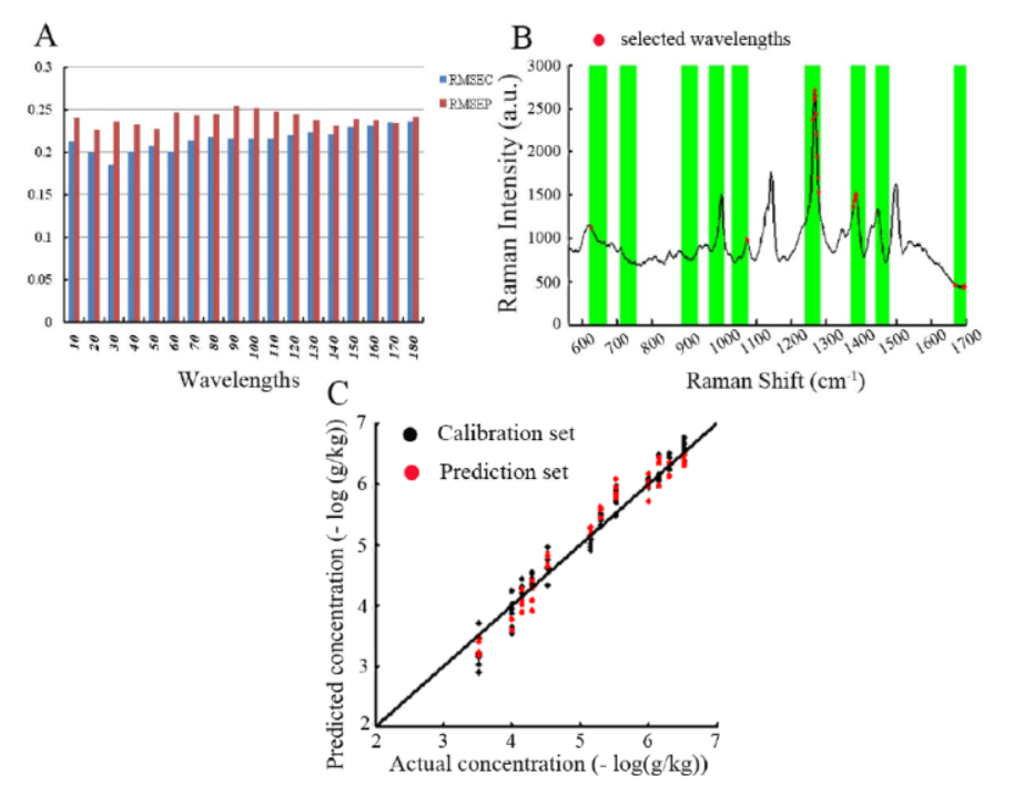 图5（A）不同波长参与下校正模型的RMSEC和RMSE.png